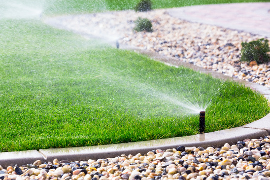 Landscaping Services Image 4